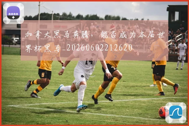 加拿大黑马奔腾,能否成为本届世界杯黑马_20260602212620